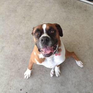 Meet your Posher, Paul